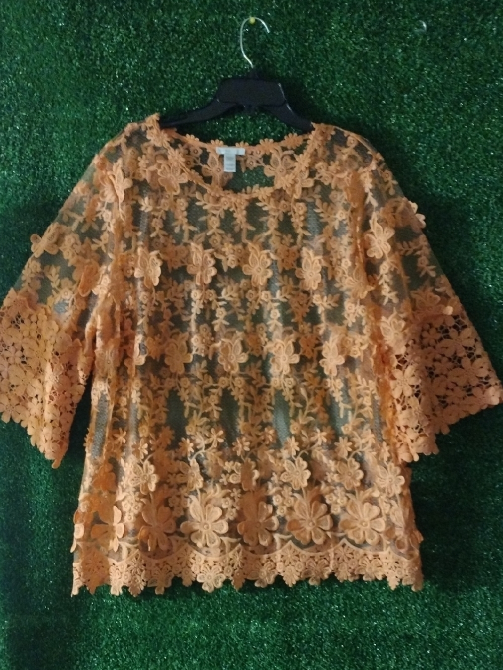 Embroidered Floral Lace Blouse in Burnt Orange Sheer Top